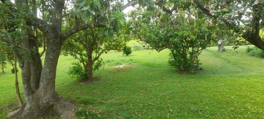 Commercial Property for Sale in Komga Rural Eastern Cape